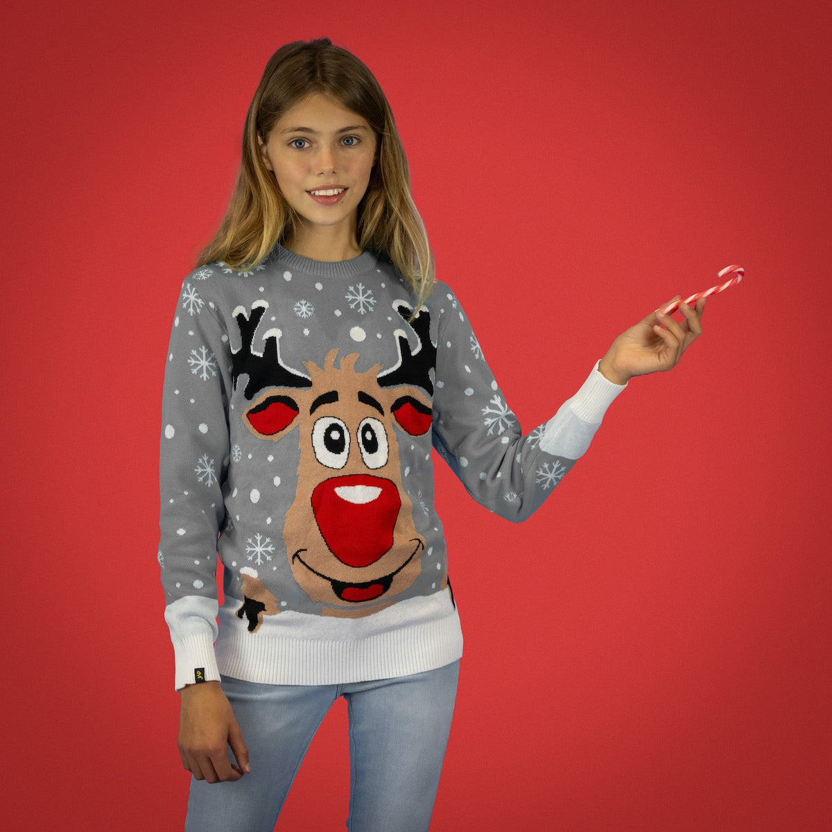 JAP Kersttrui - Rudolf het Rendier - Grijs, gedragen