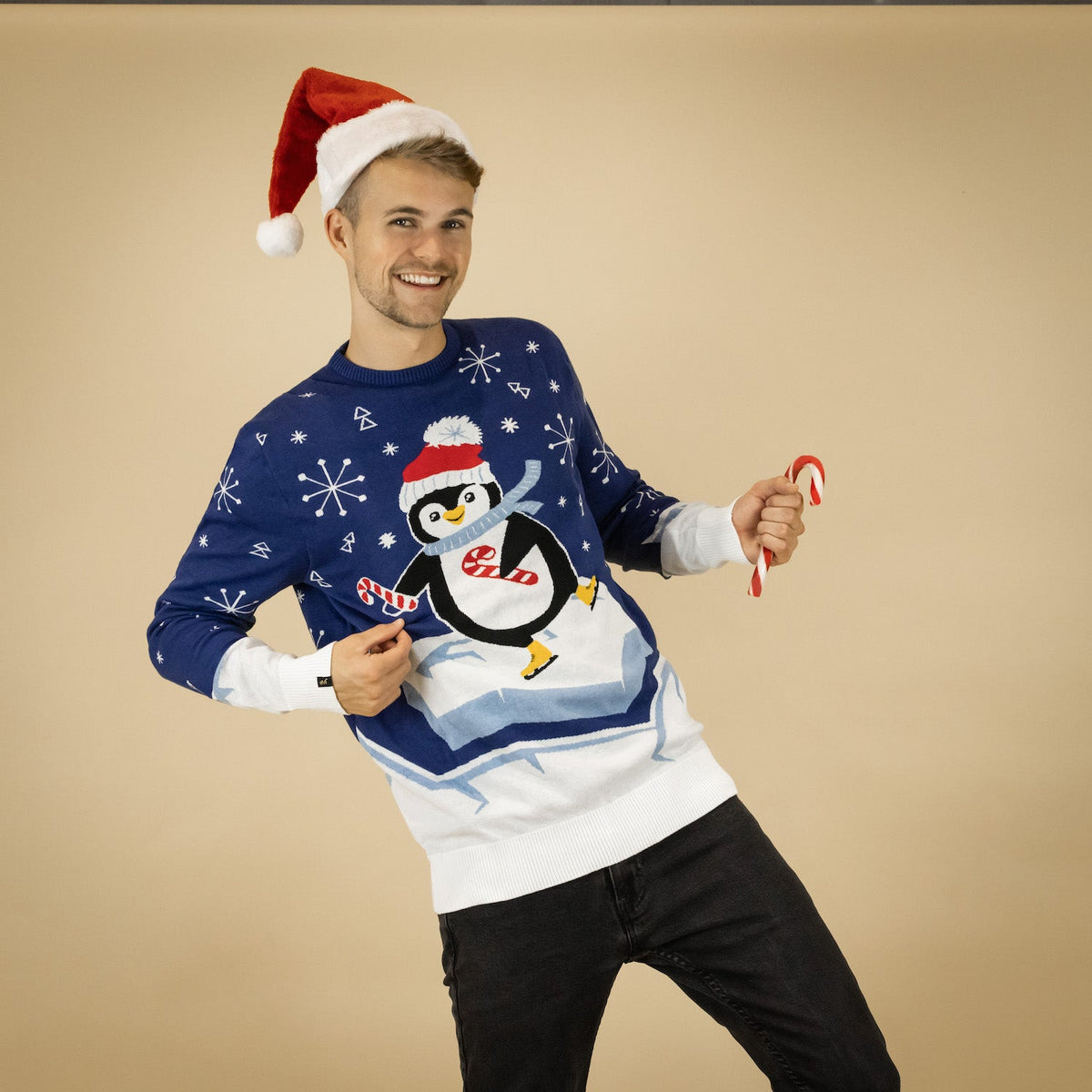 JAP Kersttrui - Skateguïn - Blauw, gedragen